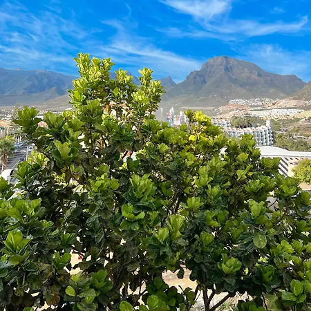 Apartment Tenerife Paradise Anna Costa Adeje (Tenerife)